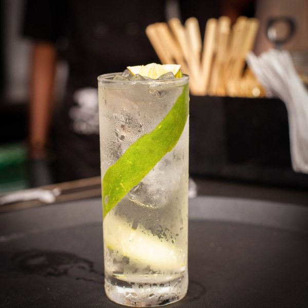 Gin and Tonic Gin and Tonic